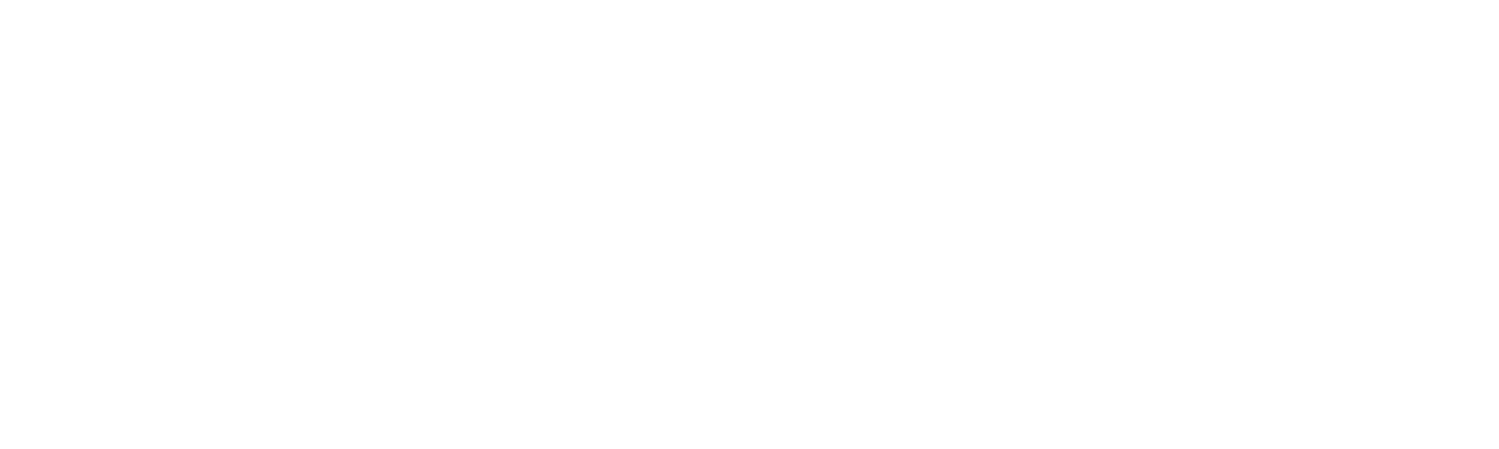 EVO 3